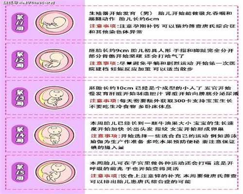 武汉最好的生孩子医院：怀孕时，建议减少这三