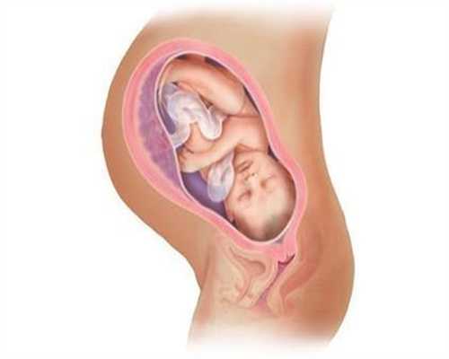 武汉借卵代怀：掌握健康技巧备孕，快速怀孕生