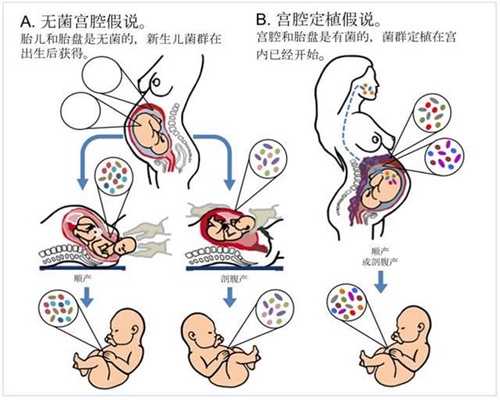 武汉晴天助孕：假怀孕常见的5种症状，正确验孕