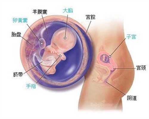 武汉代孕哪家好,有位妈妈说，自己怀孕33周，肚