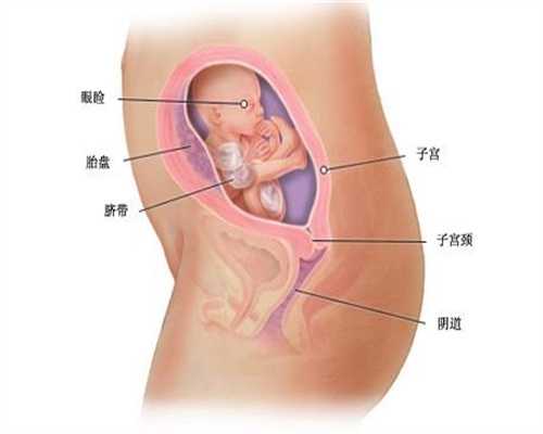 武汉代孕哪家最好,怀二胎时，孕期感受和第一胎