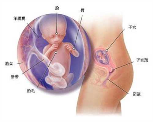 武汉代怀宝宝,妻怀孕22周,妇幼保健站说5个月要做