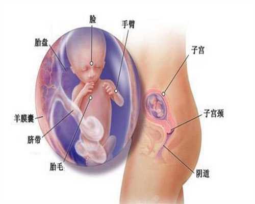 武汉代生小孩,怀孕后，孕妇需“忌口”尽量少吃