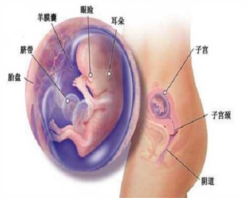 武汉代生小孩,怀孕后，孕妇需“忌口”尽量少吃