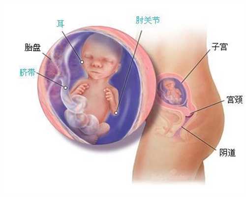 武汉代孕机构,福孕妈妈丨孕期身体变化大其实是