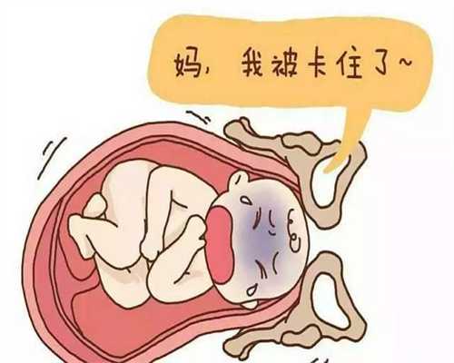 武汉代孕机构,怀孕六个月，半夜上厕所时无意听