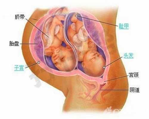 武汉人工受孕多少钱,孕期做好这4件事，对孕妈和