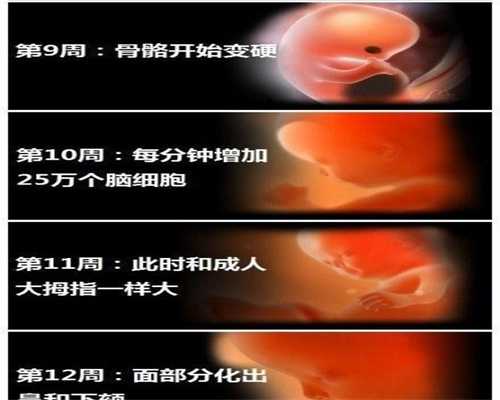 怀孕2个月孕妇有这6种症状，3个注意莫轻视