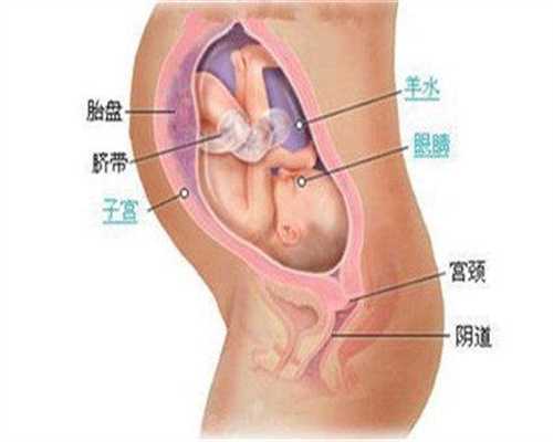 武汉代孕电话,临近预产期孕妈妈必须做好以下准