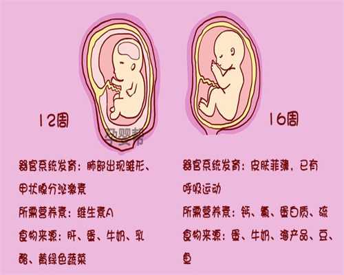 武汉人工受孕多少钱,怀孕前吃药、喝酒、没补充
