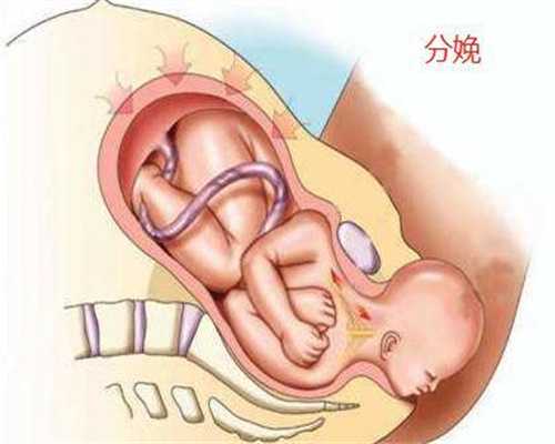武汉中国代孕案例_武汉代孕公司多少钱