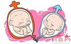 代孕做试管_怀双胞胎多少周算足月